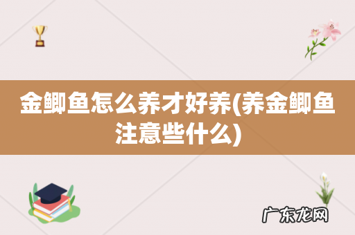 养金鲫鱼注意些什么 金鲫鱼怎么养才好养