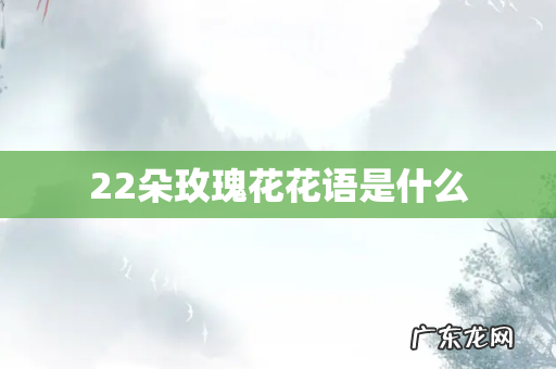 22朵玫瑰花花语是什么