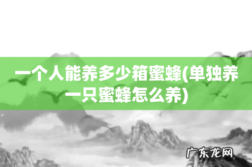 单独养一只蜜蜂怎么养 一个人能养多少箱蜜蜂