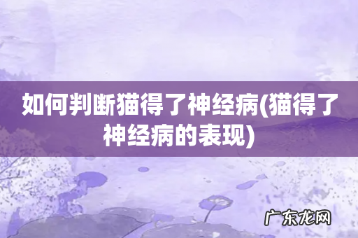 猫得了神经病的表现 如何判断猫得了神经病