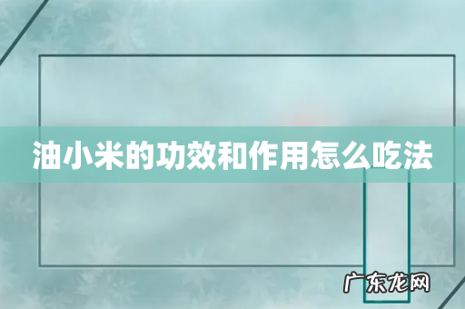 油小米的功效和作用怎么吃法