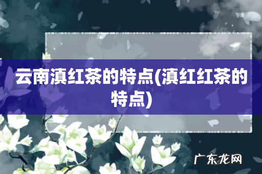 滇红红茶的特点 云南滇红茶的特点