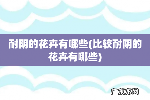 比较耐阴的花卉有哪些 耐阴的花卉有哪些