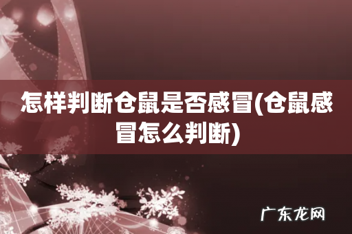仓鼠感冒怎么判断 怎样判断仓鼠是否感冒