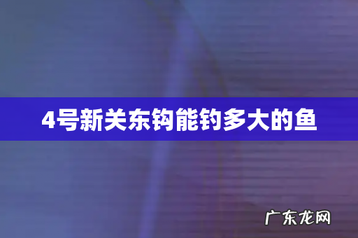 4号新关东钩能钓多大的鱼