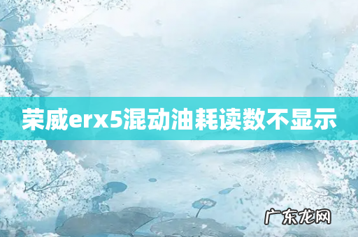 荣威erx5混动油耗读数不显示