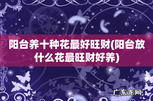 阳台放什么花最旺财好养 阳台养十种花最好旺财
