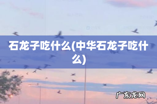 中华石龙子吃什么 石龙子吃什么