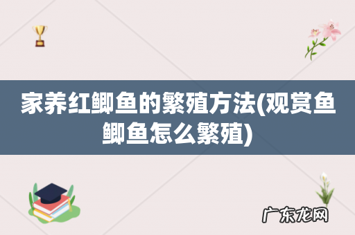 观赏鱼鲫鱼怎么繁殖 家养红鲫鱼的繁殖方法