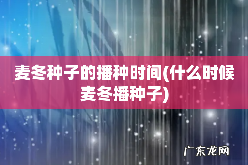 什么时候麦冬播种子 麦冬种子的播种时间