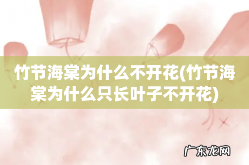 竹节海棠为什么只长叶子不开花 竹节海棠为什么不开花