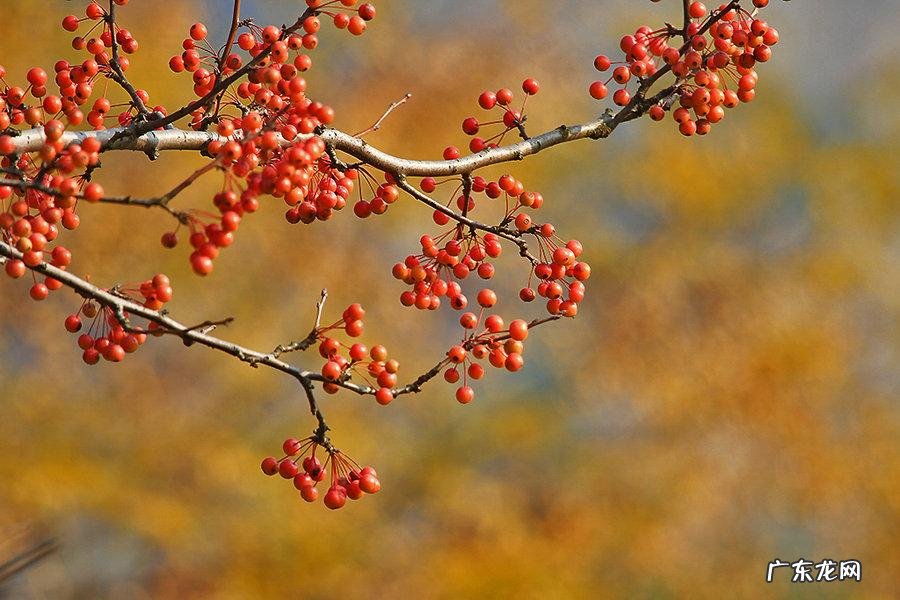 爱与秋天同在 爱在秋天图片