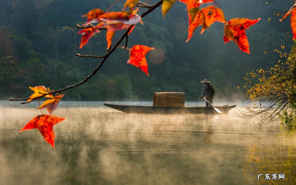 爱与秋天同在 爱在秋天图片