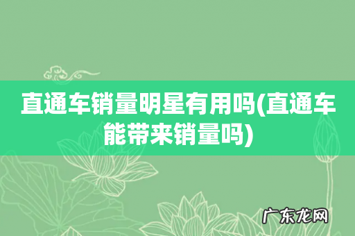 直通车能带来销量吗 直通车销量明星有用吗