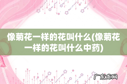 像菊花一样的花叫什么中药 像菊花一样的花叫什么