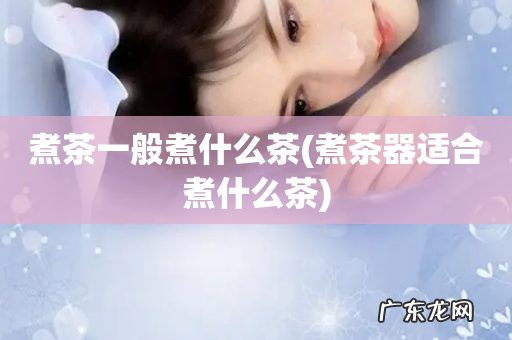 煮茶器适合煮什么茶 煮茶一般煮什么茶