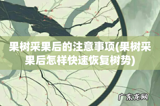 果树采果后怎样快速恢复树势 果树采果后的注意事项