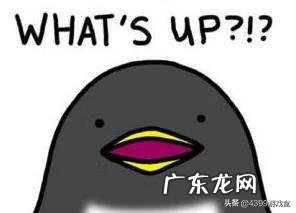 磁铁游戏有哪些 吸铁石的游戏