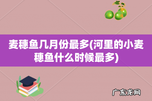 河里的小麦穗鱼什么时候最多 麦穗鱼几月份最多