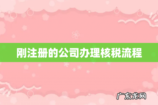 刚注册的公司办理核税流程