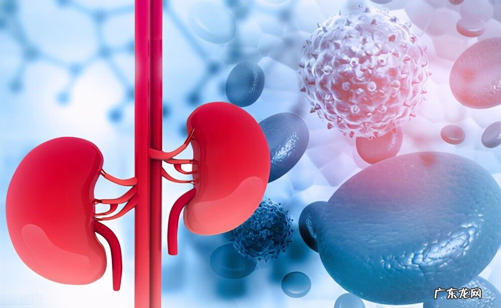 肾盂肾炎的最佳治疗方法 急性肾盂肾炎的治疗