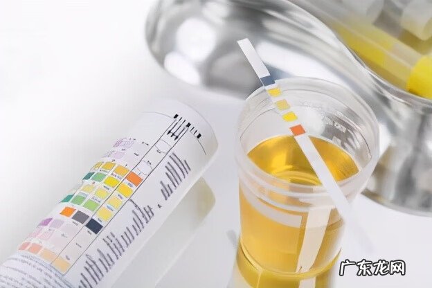 肾盂肾炎的最佳治疗方法 急性肾盂肾炎的治疗