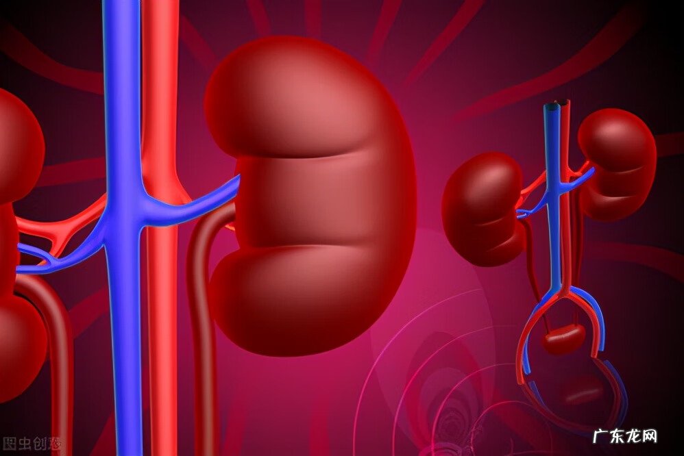 肾盂肾炎的最佳治疗方法 急性肾盂肾炎的治疗