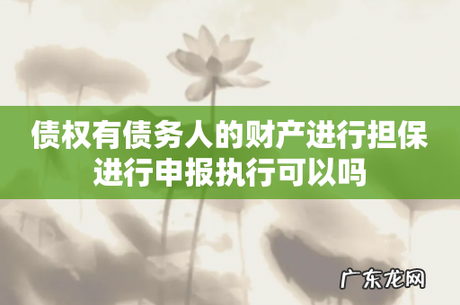 债权有债务人的财产进行担保进行申报执行可以吗