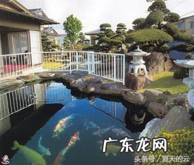 风水鱼池最好的形状 鱼池养多少条风水好