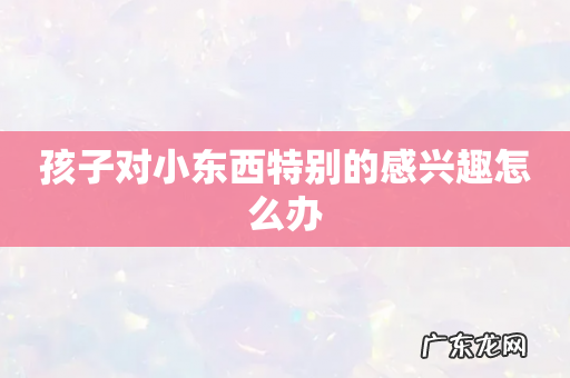 孩子对小东西特别的感兴趣怎么办