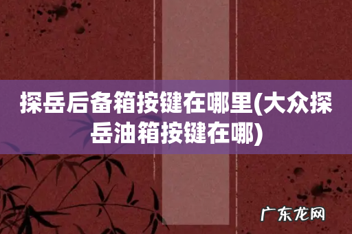 大众探岳油箱按键在哪 探岳后备箱按键在哪里