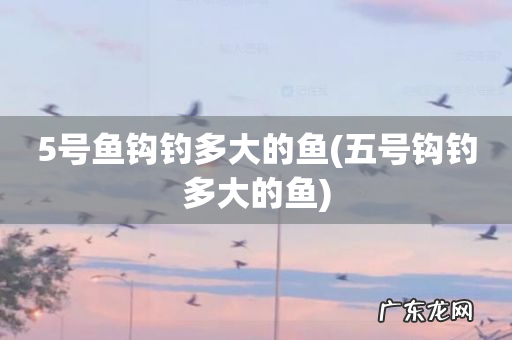 五号钩钓多大的鱼 5号鱼钩钓多大的鱼