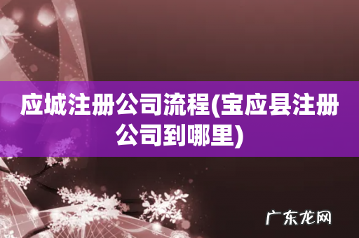 宝应县注册公司到哪里 应城注册公司流程