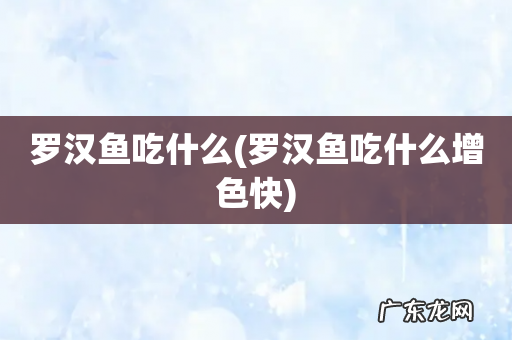 罗汉鱼吃什么增色快 罗汉鱼吃什么