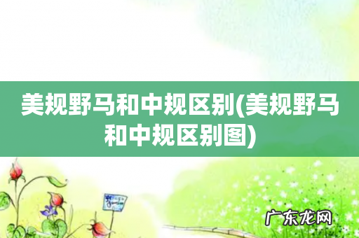 美规野马和中规区别图 美规野马和中规区别