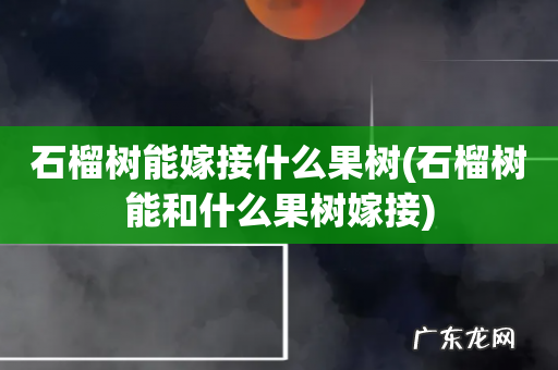 石榴树能和什么果树嫁接 石榴树能嫁接什么果树
