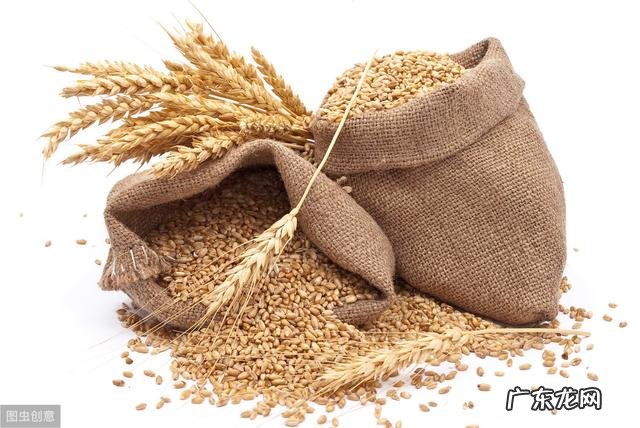 续汉志 桓侯再生