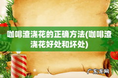 咖啡渣浇花好处和坏处 咖啡渣浇花的正确方法