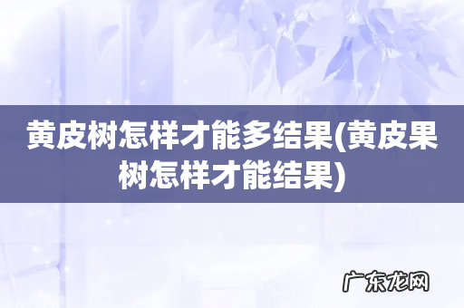 黄皮果树怎样才能结果 黄皮树怎样才能多结果