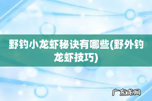 野外钓龙虾技巧 野钓小龙虾秘诀有哪些