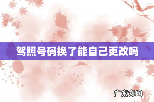 驾照号码换了能自己更改吗