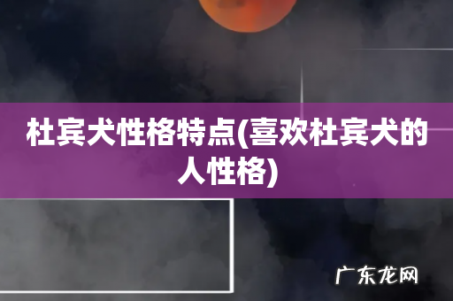 喜欢杜宾犬的人性格 杜宾犬性格特点