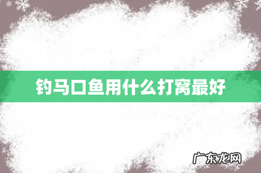 钓马口鱼用什么打窝最好