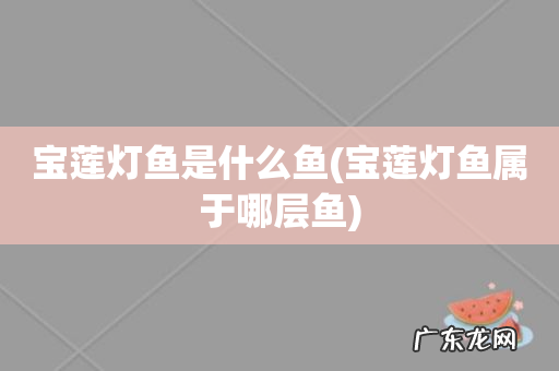 宝莲灯鱼属于哪层鱼 宝莲灯鱼是什么鱼