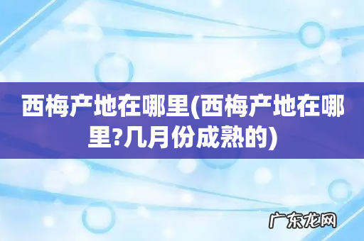 西梅产地在哪里?几月份成熟的 西梅产地在哪里