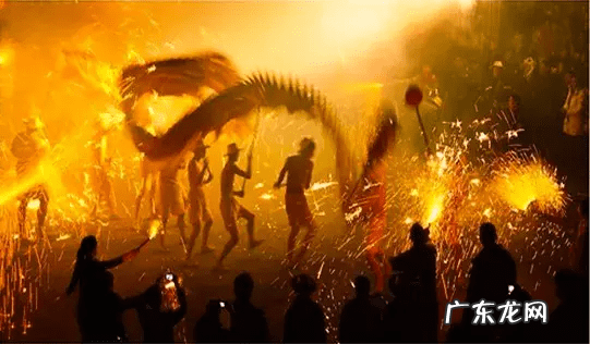 火龙图案 水龙和火龙的图片