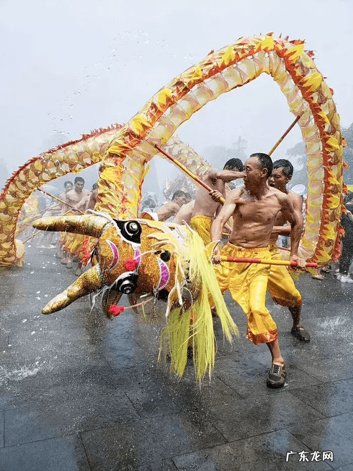 火龙图案 水龙和火龙的图片