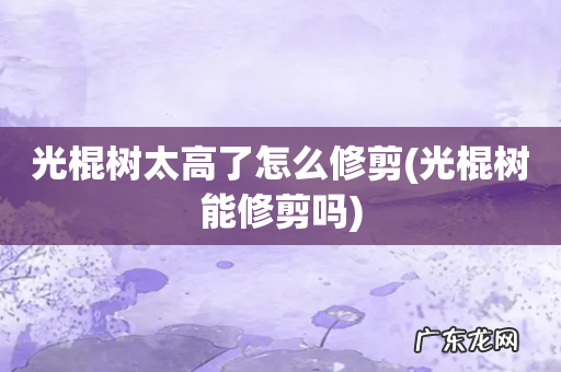 光棍树能修剪吗 光棍树太高了怎么修剪