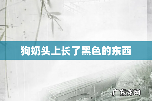 狗奶头上长了黑色的东西
