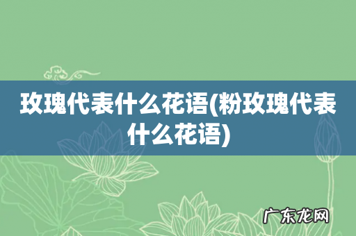 粉玫瑰代表什么花语 玫瑰代表什么花语